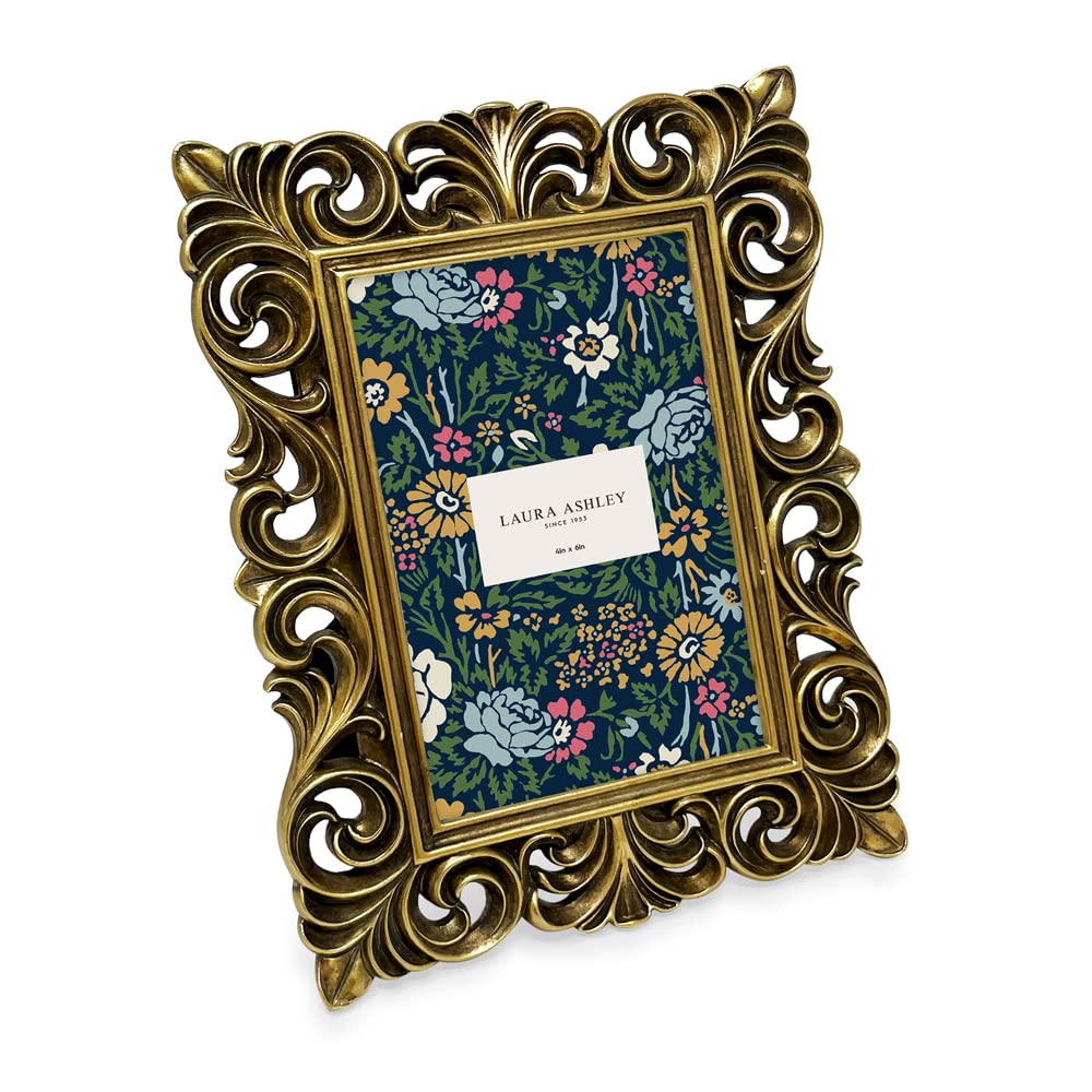 Amazon.com - Laura Ashley 4x6 Gold Vintage Inspired Resin Scroll